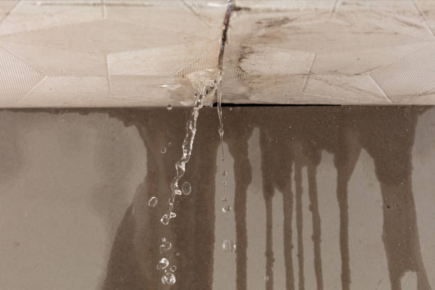 Professional Flood Damage Cleanup technician working in Crestwood, MO